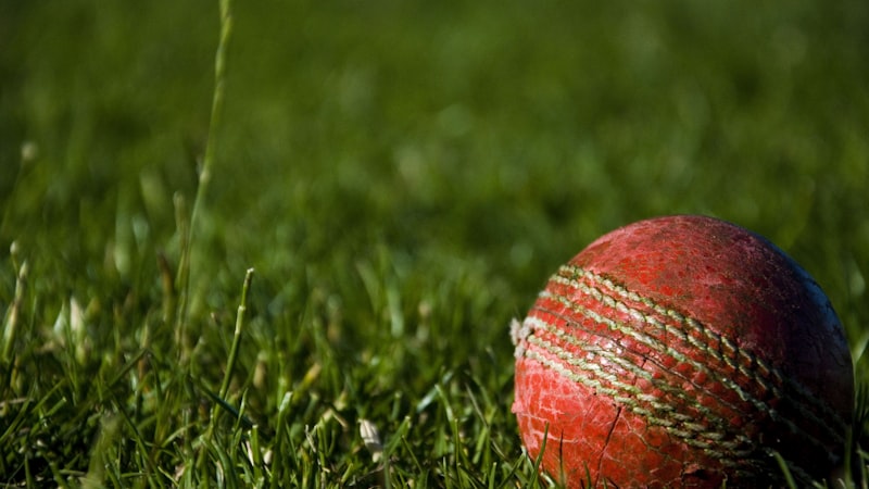 2026世界杯候选主办体育场外观效果图